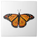 Search for bathroom tiles Decorative