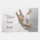 Search for squirrel kitchen towels Rodent