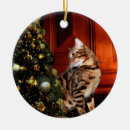 Search for bengal cat ornaments Animal