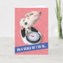 Search for funny pig birthday cards Animal