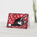 Search for tuxedo cat christmas cards Kitty