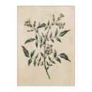 Search for acrylic art Flowers