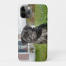 Search for pug iphone cases Cute
