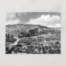 Search for vintage israel postcards Palestine