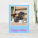 Search for shih tzu birthday cards Puppies