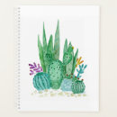 Search for cactus planners Flowers