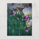 Search for miss you postcards Flowers