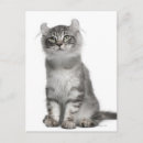Search for 6 months cards stamps Cute