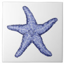 Search for starfish tiles Blue and white