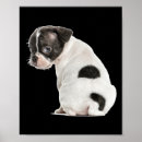 Search for dog anatomy posters Skeleton
