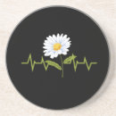 Search for daisy coasters Garden