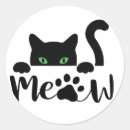 Search for cat lover gifts Kitty