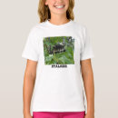 Search for raccoon tshirts Wildlife