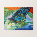 Search for butterfly puzzles Animal