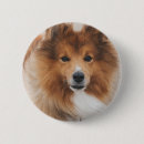 Search for dog photo buttons Pet