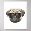 Search for dogs wearing glasses posters Pug