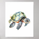 Search for sea turtle posters Ocean