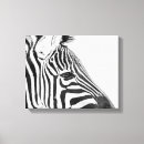 Search for black and white stripes canvas prints Zebra