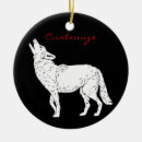 Search for coyote ornaments Nature