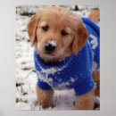 Search for golden retriever posters Patriotic