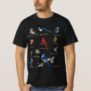 Search for cardinal bird tshirts Hummingbird