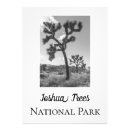 Search for black and white landscape posters Park