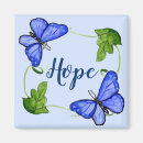Search for butterfly magnets Insect