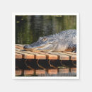 Search for alligator napkins Nature