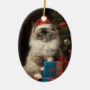 Search for ragdoll cat gifts Kitten