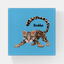 Search for cat paperweights Cartoon