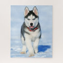 Search for siberian husky puzzles Animal