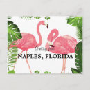 Search for naples florida postcards Tropical