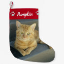 Search for pet christmas stockings Cat photo