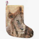 Search for lion christmas stockings Wild