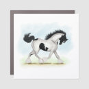 Search for gypsy vanner horse Equestrian