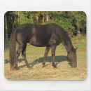 Search for tennessee walking horse gifts walker