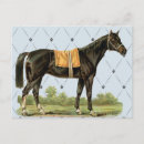 Search for horse postcards Stallion