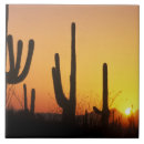 Search for tucson tiles Cactus