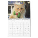 Search for eye calendars cat