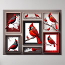 Search for cardinals in winter posters Animal
