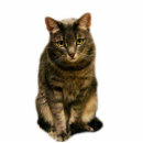 Search for black cat photo statuettes Kitty
