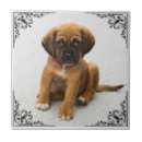 Search for pet photo tiles Unique