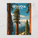 Search for redwood national park postcards Hiking