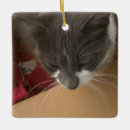 Search for adoption ornaments Pets