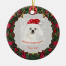 Search for bichon frise ornaments Puppy