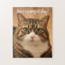 Search for pet puzzles Photography