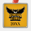 Search for state ornaments Ksu