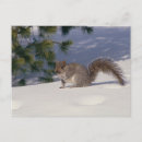 Search for seasons greetings postcards Winter