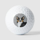 Search for corgi golf balls Cute