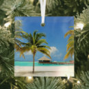 Search for maldives ornaments Tropical beach